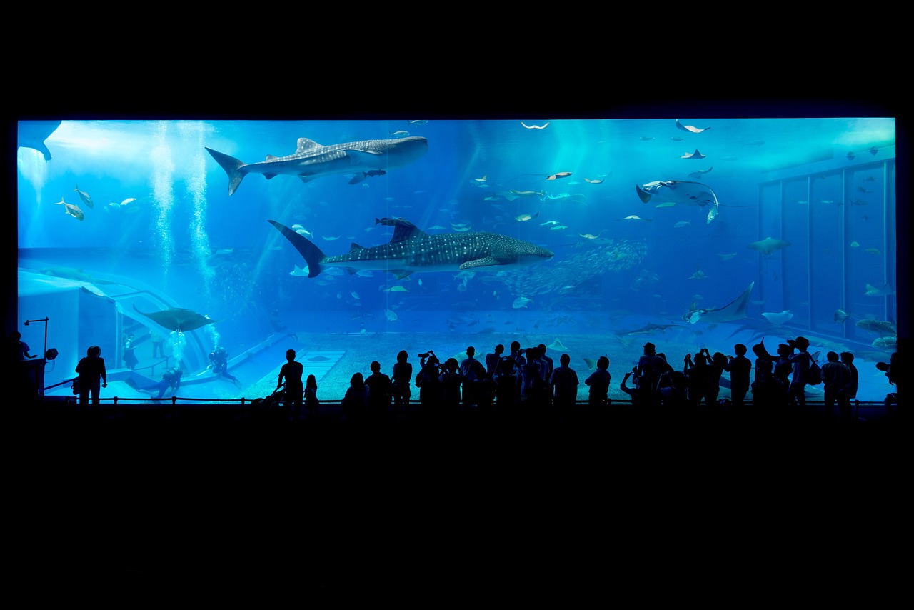 沖縄も北海道スキーも、まとめて予約で旅の準備がラクになる「ニーズツアー」活用ガイド
